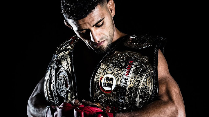 PHENOMENAL | DOUGLAS LIMA (BELLATOR HIGHLIGHTS 2019)