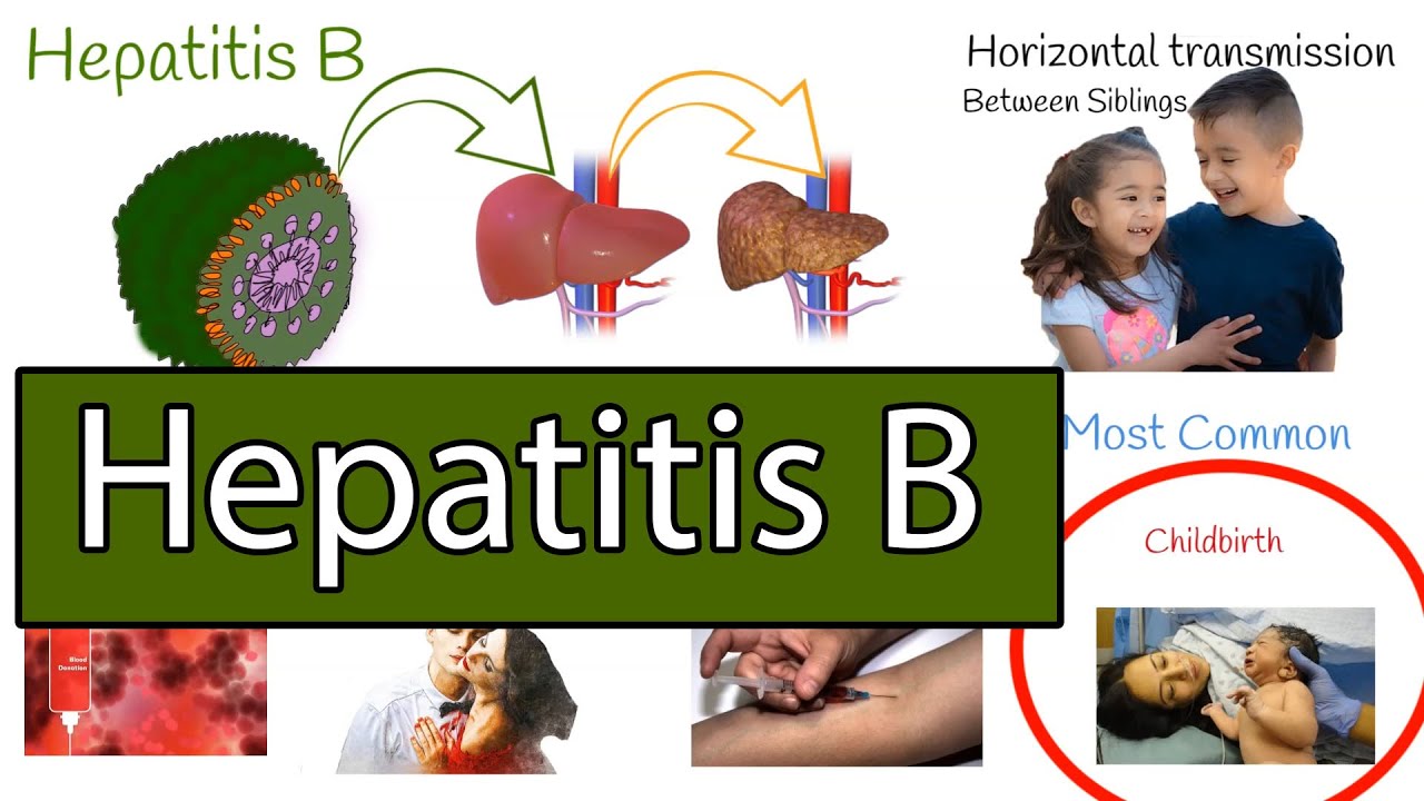 Hepatitis B symptoms, treatment and prevention - YouTube