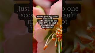 You’re growing… even in silence.