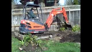 Track Hoe Excavating Hedge On Day 1 of New Home Construction
