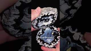 If you found this, do you still need to work?#GemstoneCollecting #StoneKnowledge#StoneIdentification