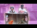 WHATS IN THE BOX CHALLENGE!!! ** LIVE ANIMALS **