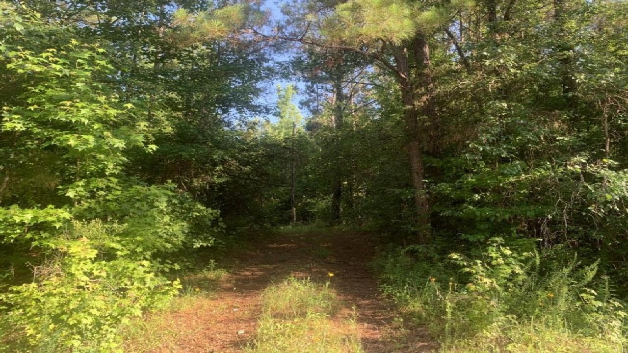 New Light Rd, Starkville, MS Presented by Sheri Lipsey. YouTube