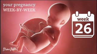 26 Weeks Pregnant - Natural Pregnancy Week-By-Week