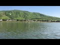 Feeding the birds in Sea of Galilee Israel מאכיל ציפורים בכנרת