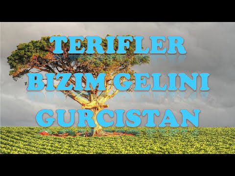 TERIFLER BIZIM GELINI (AHISKA MÜZIK)(Ахыска)