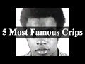 5 Most Famous Crips In History