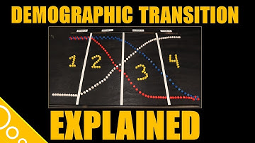 Explaining the demographic transition