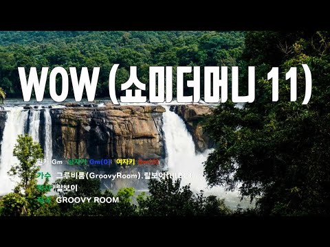 [은성 반주기] WOW(쇼미더머니11) - 그루비룸(GroovyRoom).릴보이(lIlBOI)