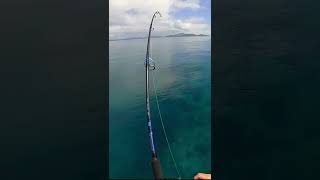 Bulk Bait, Bangas And Glamour Conditions