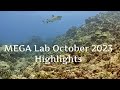 October 2023 Highlights | MEGA Lab Cam | Hawaii live stream