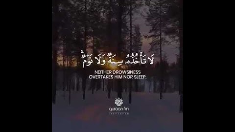 القارئ اسلام صبحى .. مزمار من مزامير ال داود 💙