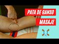 Masaje 💆‍♀️ para el tendón de la PATA DE GANSO