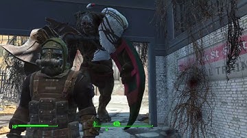 Killing swan at a low level