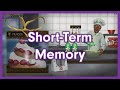 Short Term Memory Mnemonic for MCAT