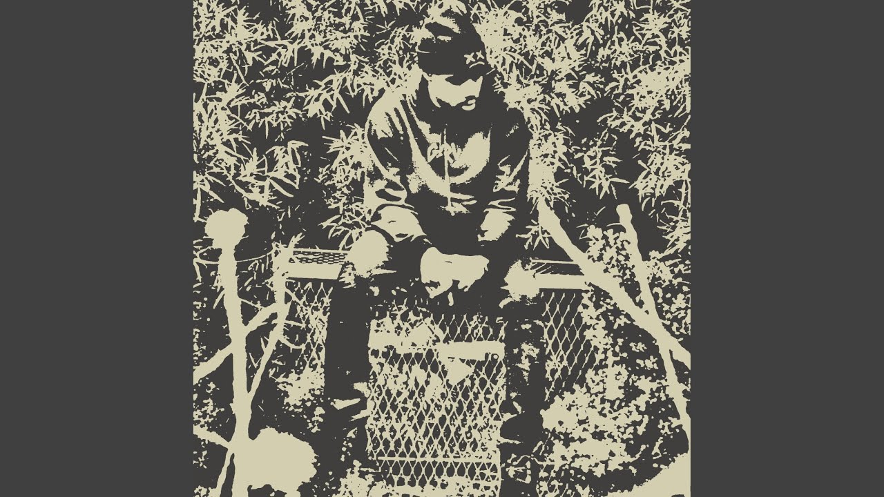 Distant Drops auf YouTube ansehen Distant Drops auf YouTube ansehen