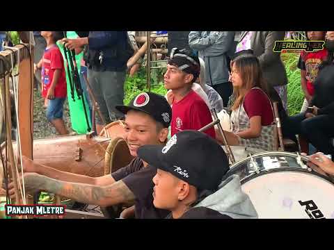 PANJAK MLETRE‼️ Hanya