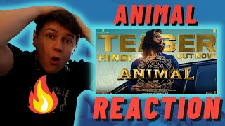 ANIMAL🇮🇳- IRISH REACTION - Ranbir Kapoor