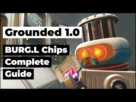 Qu'est-ce qu'un Free Chip chez Betory ?