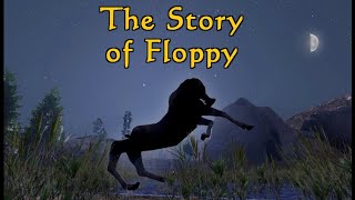 The Story of Floppy