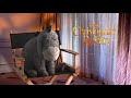 Christopher Robin: Eeyore Official Movie Interview | ScreenSlam