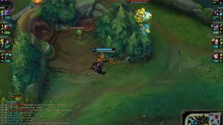 blitz q bug