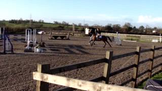 Wilby at Tushingham