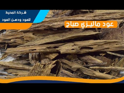 عود ماليزي صباح افخر عود المحيط للعود ودهن العود عود