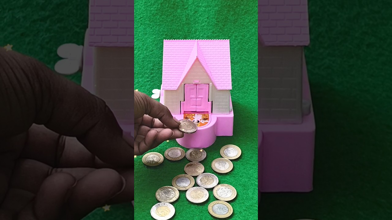 🎁🪙digital house coin college puppy Bank Dog house!🏡🪙(bc-275)