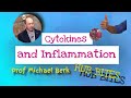 Cytokines and Inflammation - Professor Michael Berk