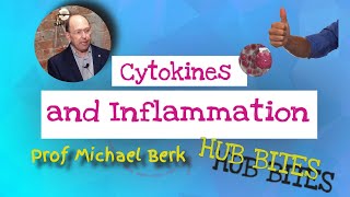 Cytokines and Inflammation - Professor Michael Berk screenshot 1