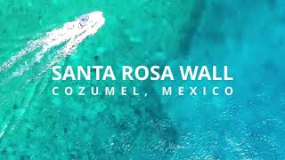 Cozumel, Santa Rosa Wall: A Drift Dive in Cozumel