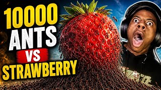 10000 Ants vs Giant Obstacle 😱 | Can Ant Army Move the Rock? 🐜💪