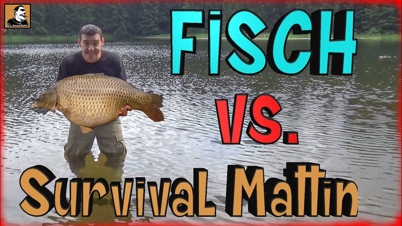 survival-mattin-versucht-gro-en-fisch-nur-mit-seinen-h-nden-zu-fangen
