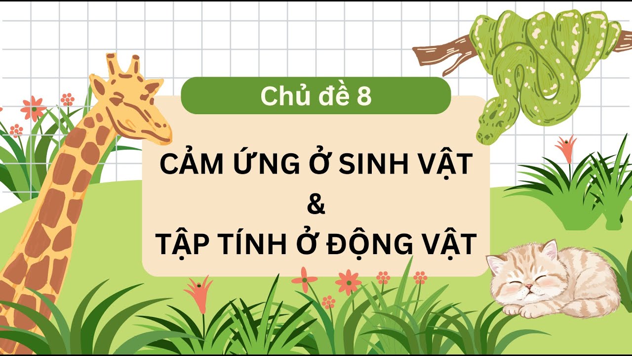 KHTN7-Chủ đề 8: Cảm ứng ở sinh vật và tập tính ở động vật