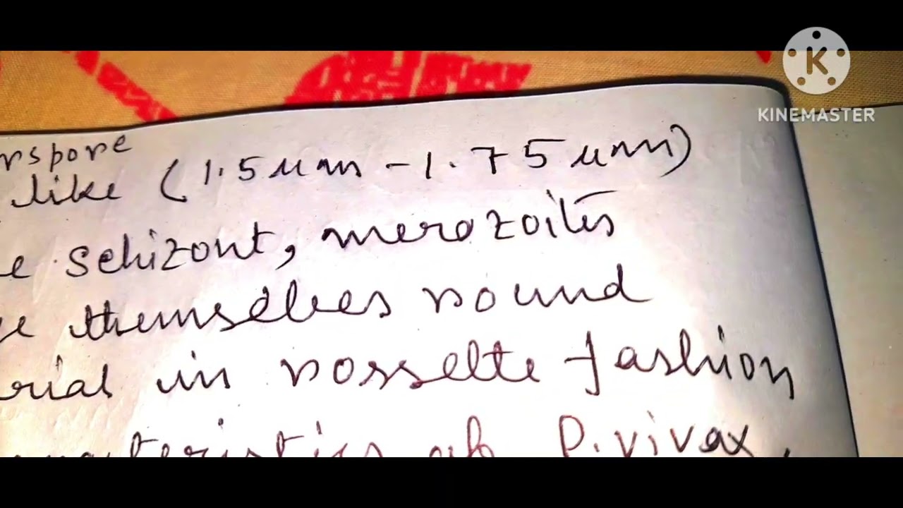 2.PLASMODIUM VIVAX IDENTIFICATION,SCHIZONT STAGE, MEROZOITE STAGE, PARASITOLOGY PRACTICAL SEM4  ZOO