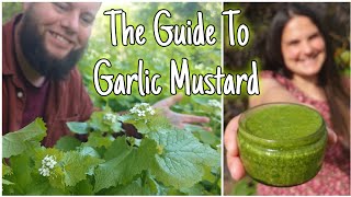 Garlic Mustard! The wild weed you NEED To Know! 🌱 Health Benefits, Identification Plus Pesto Recipe! by Home Is Where Our Heart Is 9,974 views 4 weeks ago 10 minutes, 36 seconds