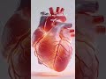 Heartbeat what’s the max bpm?? #doctor #anatomy #