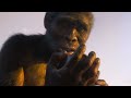 Evolution of Human|Evolution from ape to man|From Proconsul to Homo heidelbergensis