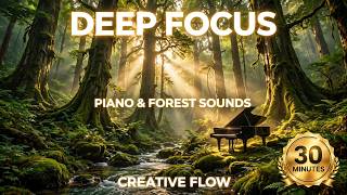 🌿 Ancient Forest Sounds & Minimalist Piano | Deep Focus, Creative Flow & Study Music