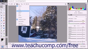 Photoshop Elements 2018 Tutorial Camera Raw Tools Adobe Training