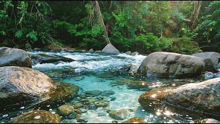 Serene Forest River Sounds 🌿 Nature White Noise for Calm