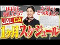 JAL CAの1ヶ月のスケジュールを大公開!リアルなシフトが明らかに..