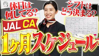 JAL CAの１ヶ月のスケジュールを大公開！リアルなシフトが明らかに..