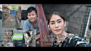 Patuloy lang ang buhay pet lover | don't mind sa mga positibong mga kumento  #catlover  #petlover