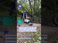 🦦 ¡MIRÁ QUIÉN ENTRÓ! Pequeña nutria se mete a una tienda y termina rescatada en Irlanda