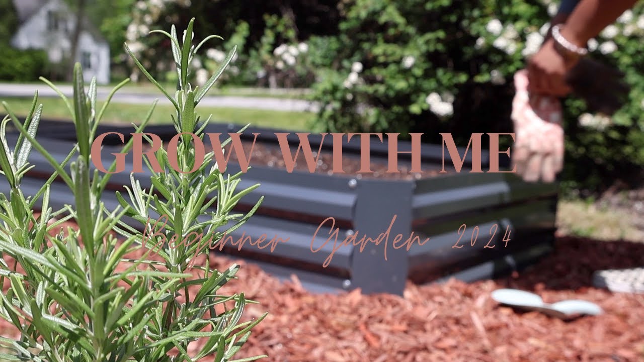 No Experience Outdoor Garden from Start to Finish Pt. 1 | 2024 | Zone 6a