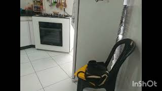 The Backrooms Level 16 J. Barry Mental Asylum
