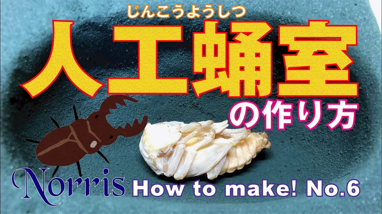 How to make an artificial pupa room! How to make! No.6