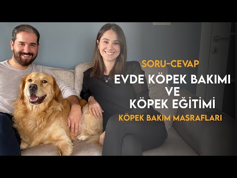 Video: Köpek Yürüyüşü Drone, Olmak İstediğiniz Gibi Tembel Olmanızı Sağlar